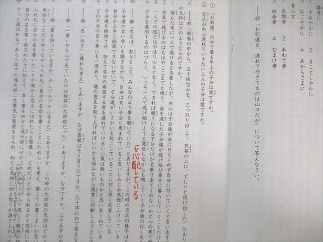 SAPIX サピックス SS特訓 フェリス対策プリント 国語 【全14回分フルセット】 2022 025S2D SAPIX サピックス SS特訓 フェリス対策プリント 国語 【全14回分