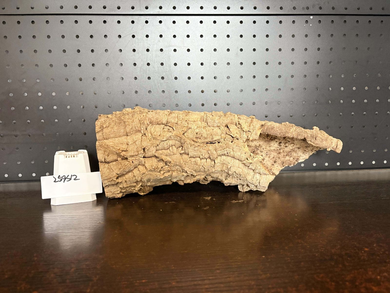 キャノンコルク コルク樹皮