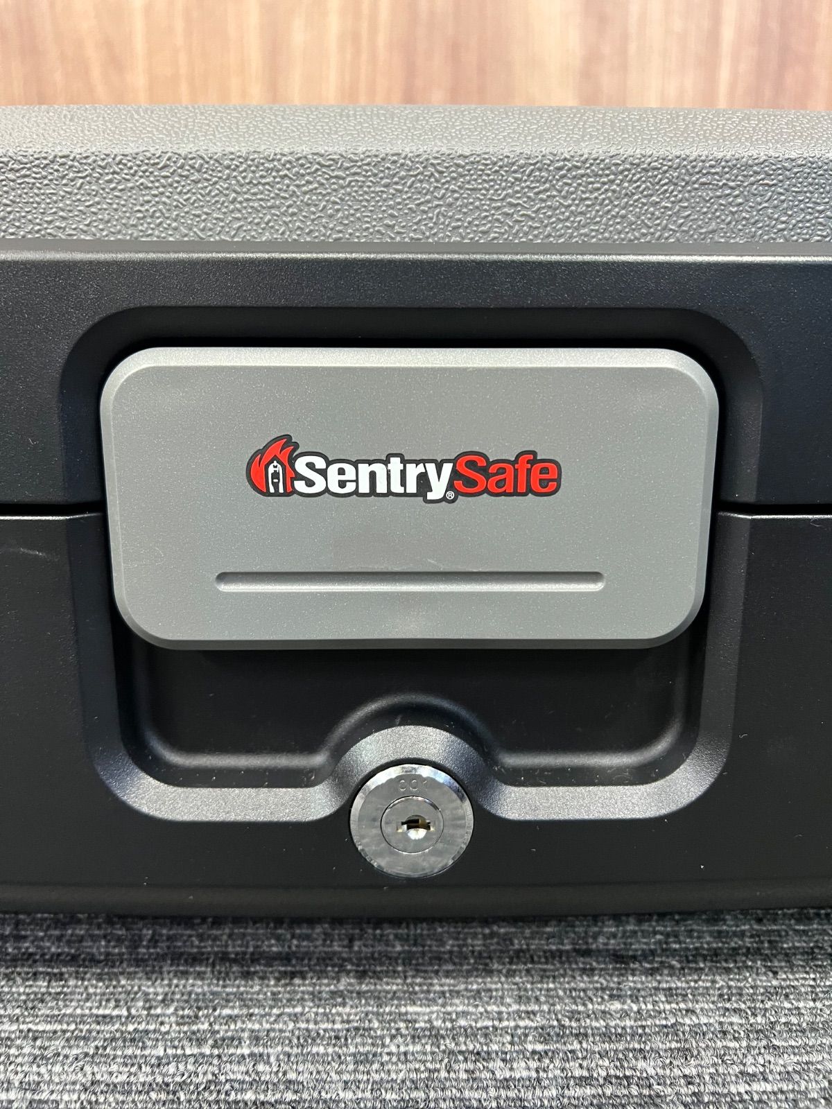 SentrySafe HD2100
