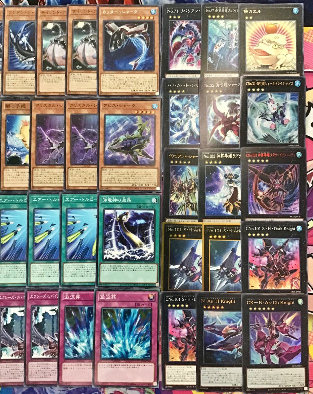 本格構築 【シャークデッキ】 メイン＆EX15＆二重スリーブ セット 本格構築 【シャークデッキ】 メイン＆EX15＆二重スリーブ