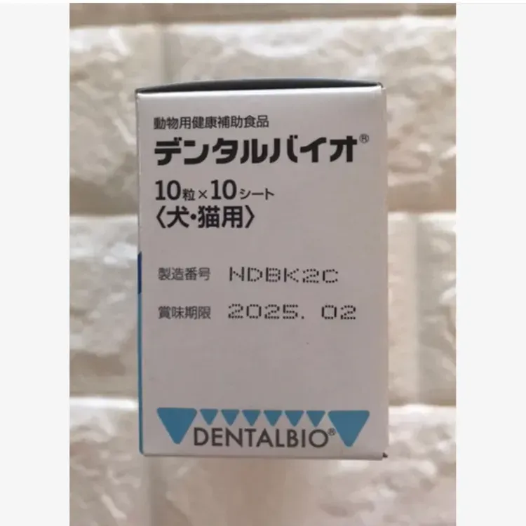 お中元 共立製薬 デンタルバイオ 犬 10個 10シート kead.al