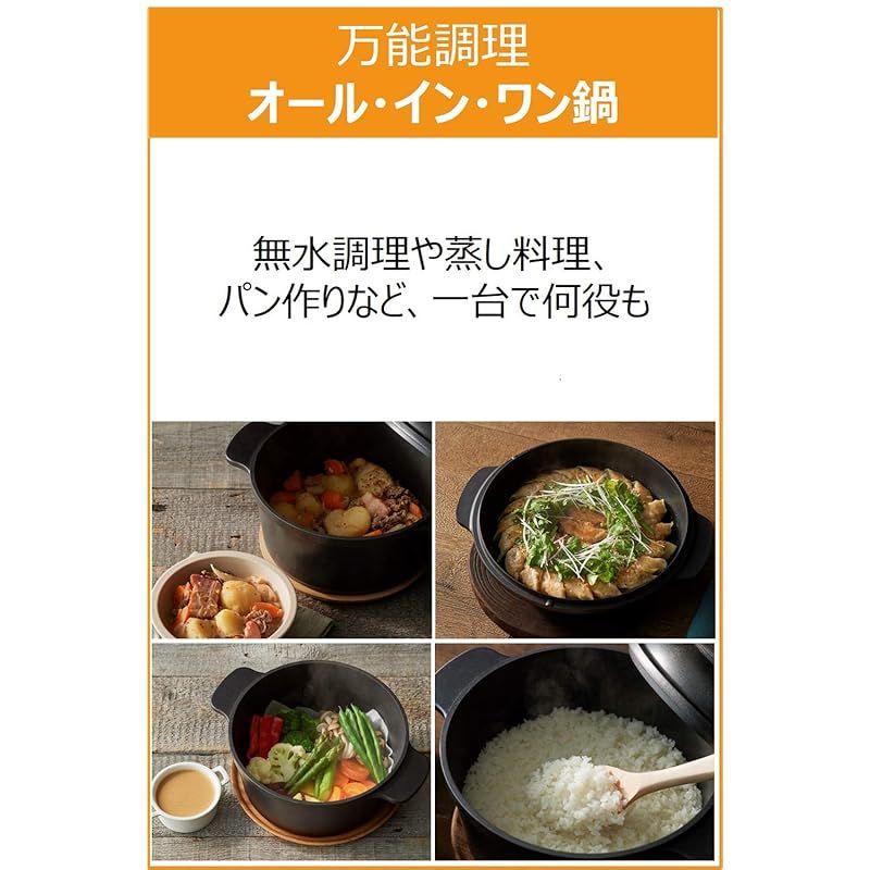 オンライン ティファール 万能鍋 24cm 両手鍋 無水調理 鋳物なのに軽くて使いやすい IH ガス火対応 PFOAなどの有害物質不使用 こびりつきにくさ長持ち キャストライン アロマ オール･イン･ワン ブラック E222S3 0