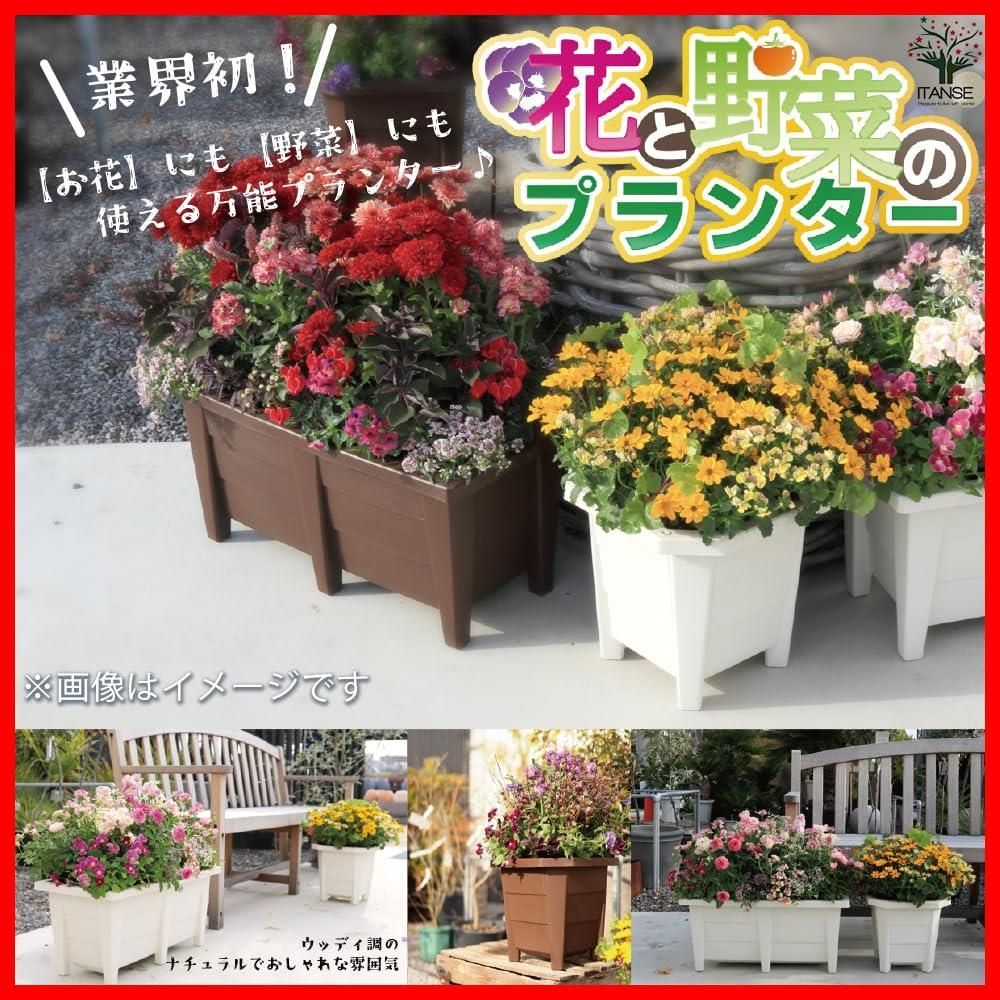 2個セット
