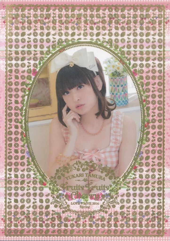 激レア】田村ゆかり ライブパンフレット