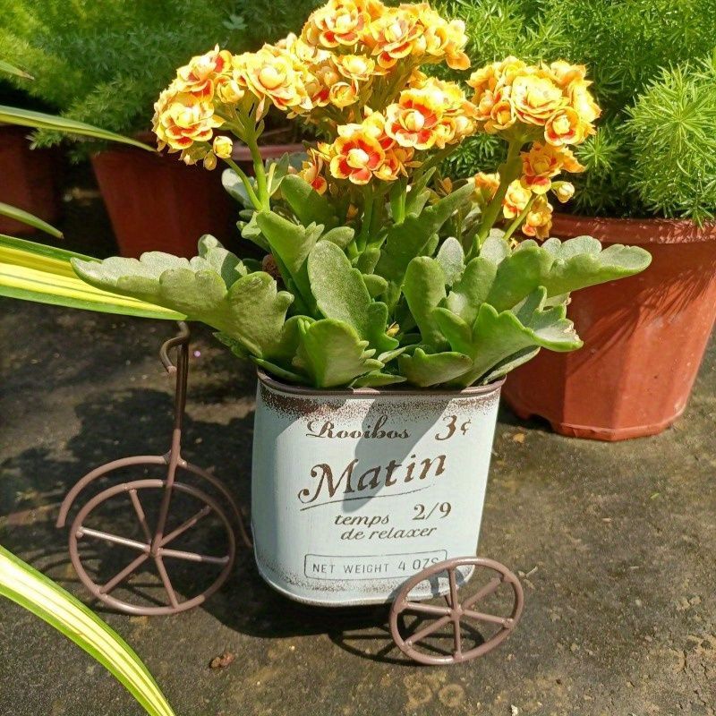 植木鉢 プランター