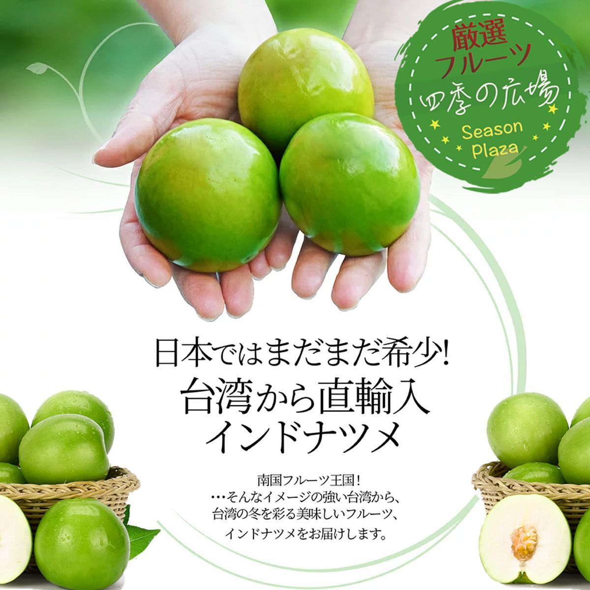 台湾ナツメ 約2.5kg 箱 18～24個入 空輸 日本向け 台湾産生