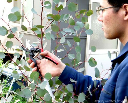 1968トラクター 尾輪 ビリン びりん ロータリ 左右2個セット/M7 1968