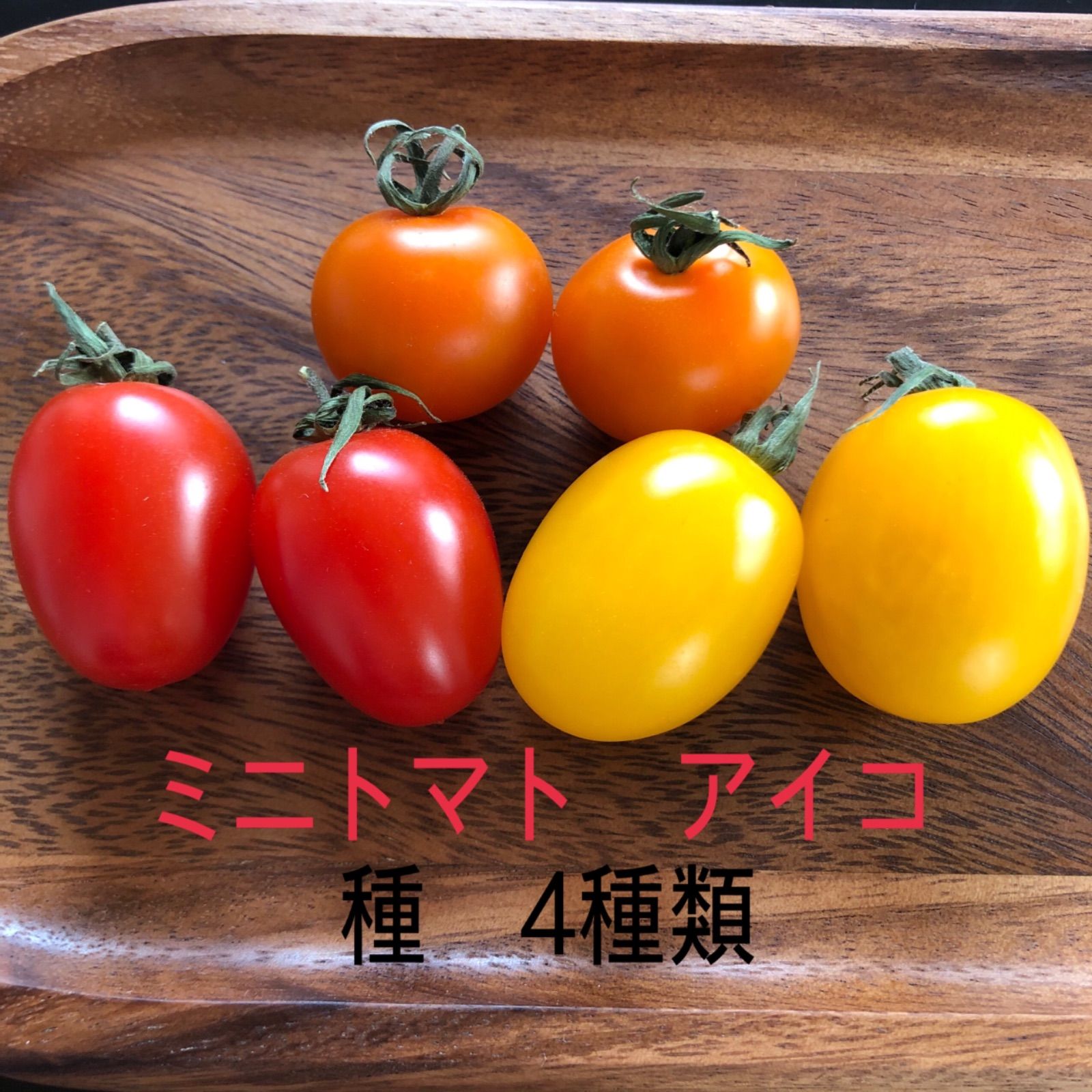 メルカリshops ミニトマト アイコ 種 4種類