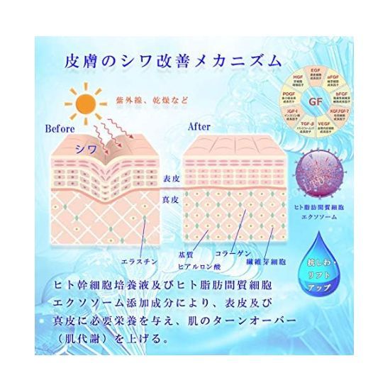 SCJ クリーム 幹細胞 培養液 Cream Stem Cell Culture Solution - メルカリ