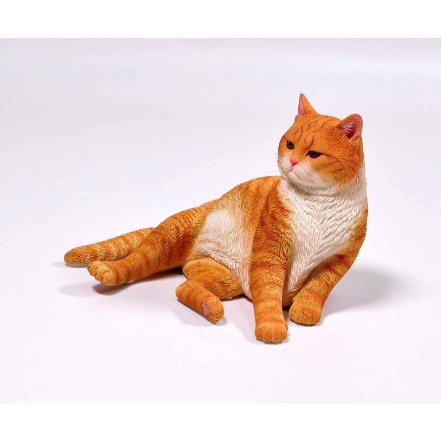【kirin】せか猫、リアル That tiny abandoned cat has grown so big! Happy Birthday
