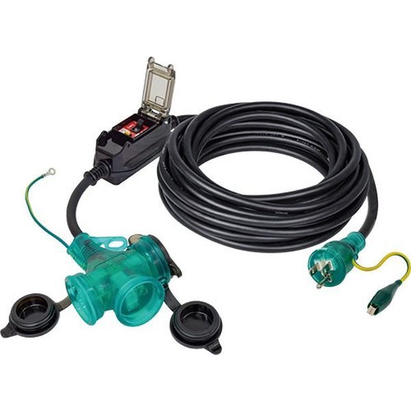 たっぷり12kg】鳥海山麓の自家栽培 やまぶどう 工場 果実酒にも