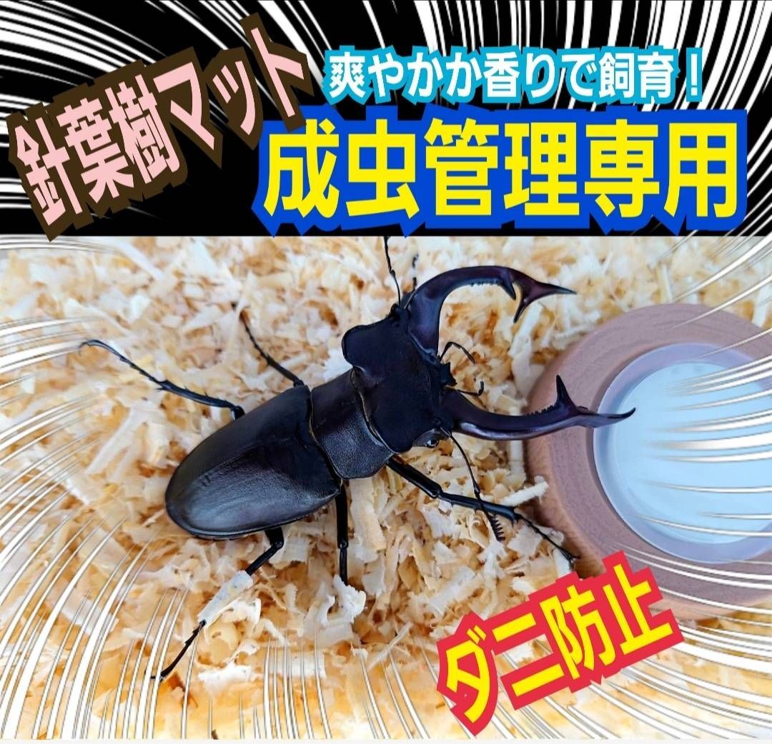 クワガタカブトムシの成虫飼育用針葉樹マット ダニ防止に抜群！ 爽やか