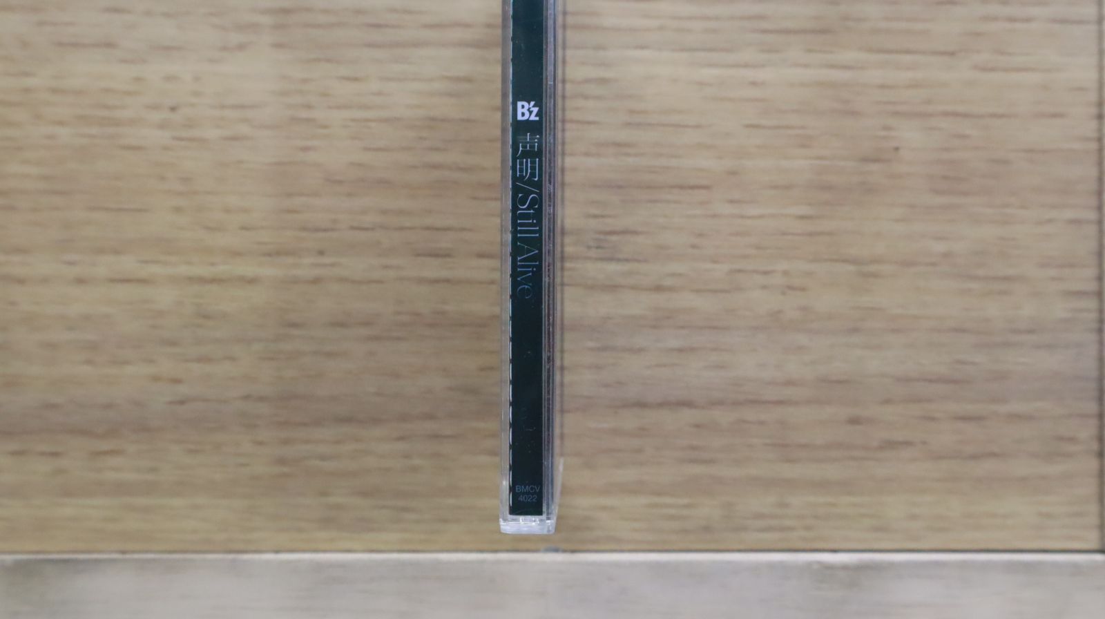 Ω洗浄LP新品開封品♬　Tico＆icchie ／ 青春REGGAE　Ω Tico&Icchie商品一覧｜ディスクユニオン・オンライン