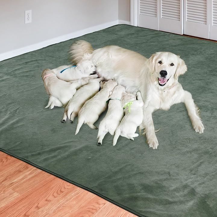 ペットマット おしっこマット