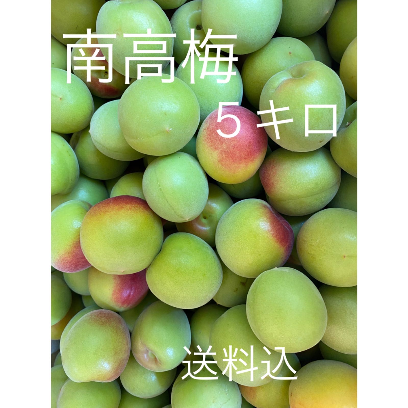 3 和歌山県 紀州産 特別栽培 中熟梅~完熟南高梅 生産者直送 10kg