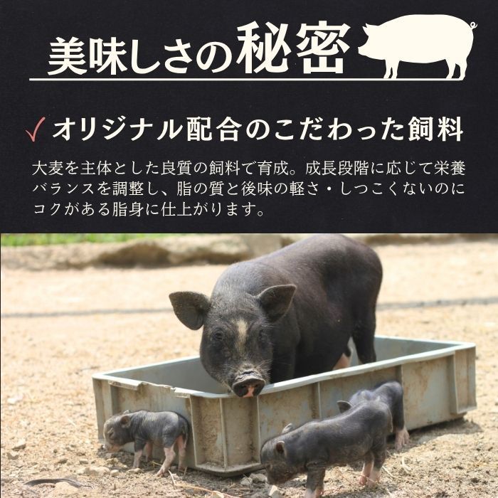 食品 赤豚 黒豚 こま食べ比べセット2kg(1kgずつ) 静岡県産 高級ブランド豚 焼肉