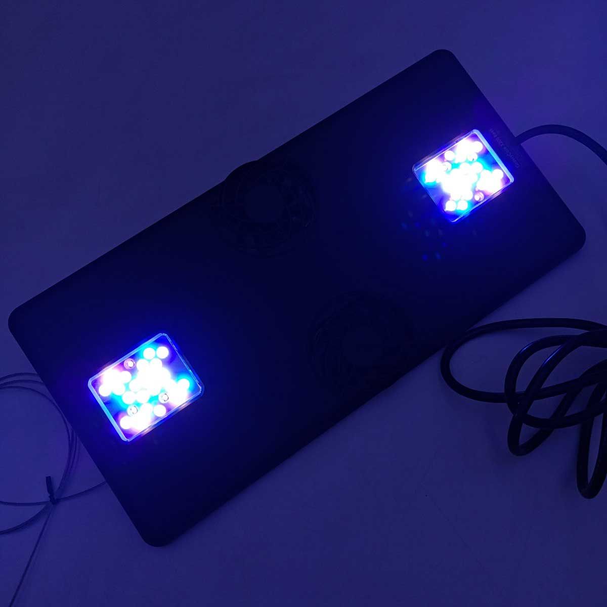 GrassyCore Reef LEDライト 本体 Amazon | ボルクスジャパン GrassyCore Reef/リーフ