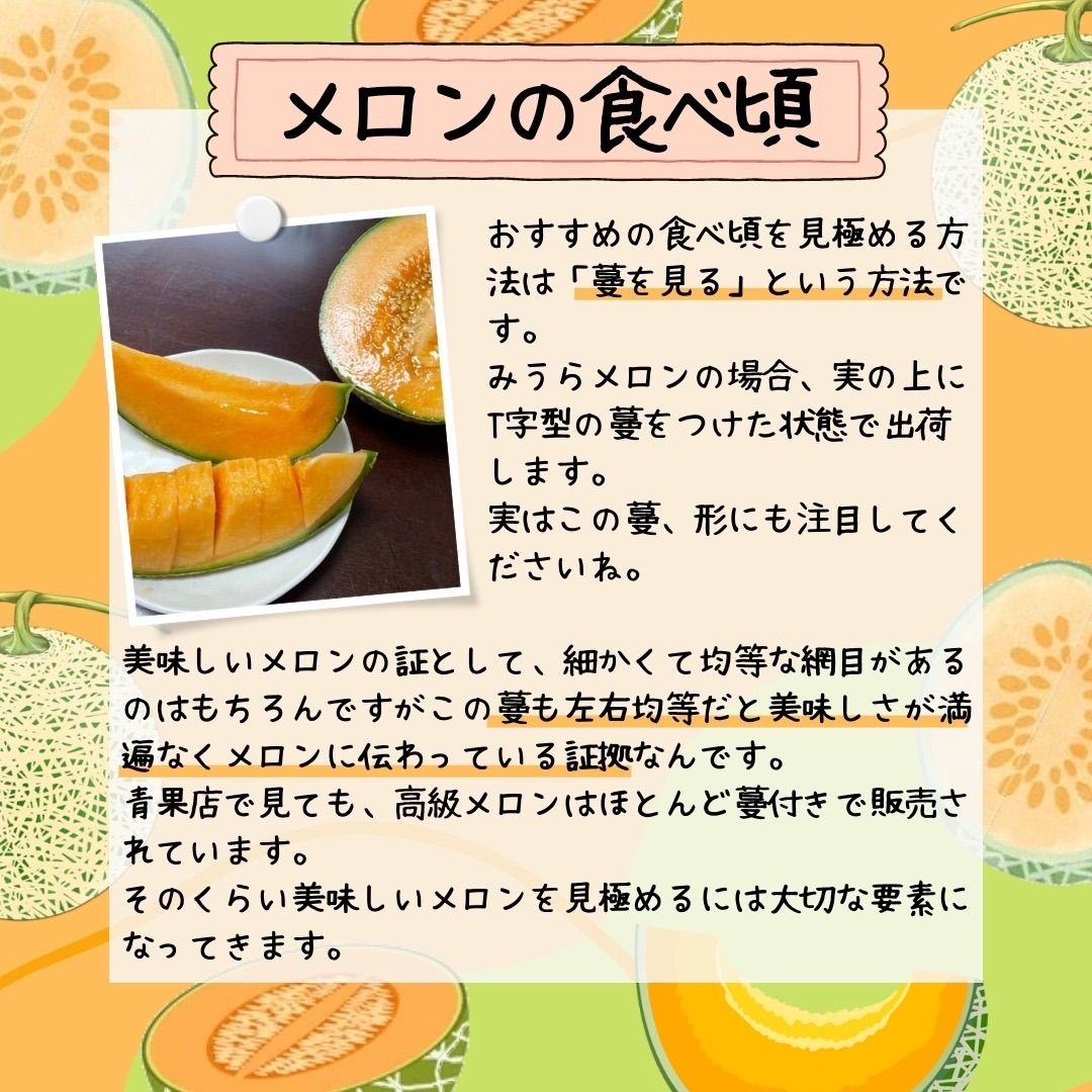 【終了間近！】赤肉メロン 8kg 4〜5玉入　ティアラ　秀品　北海道　蘭越町
