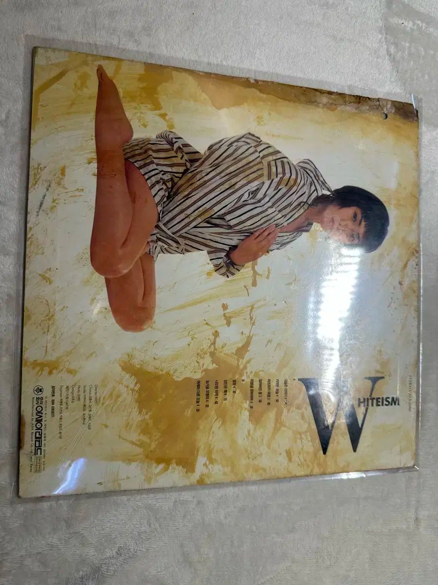 チャン ヘジン 1 家 WHITEISM LP ー 僕の 悲しい 物語