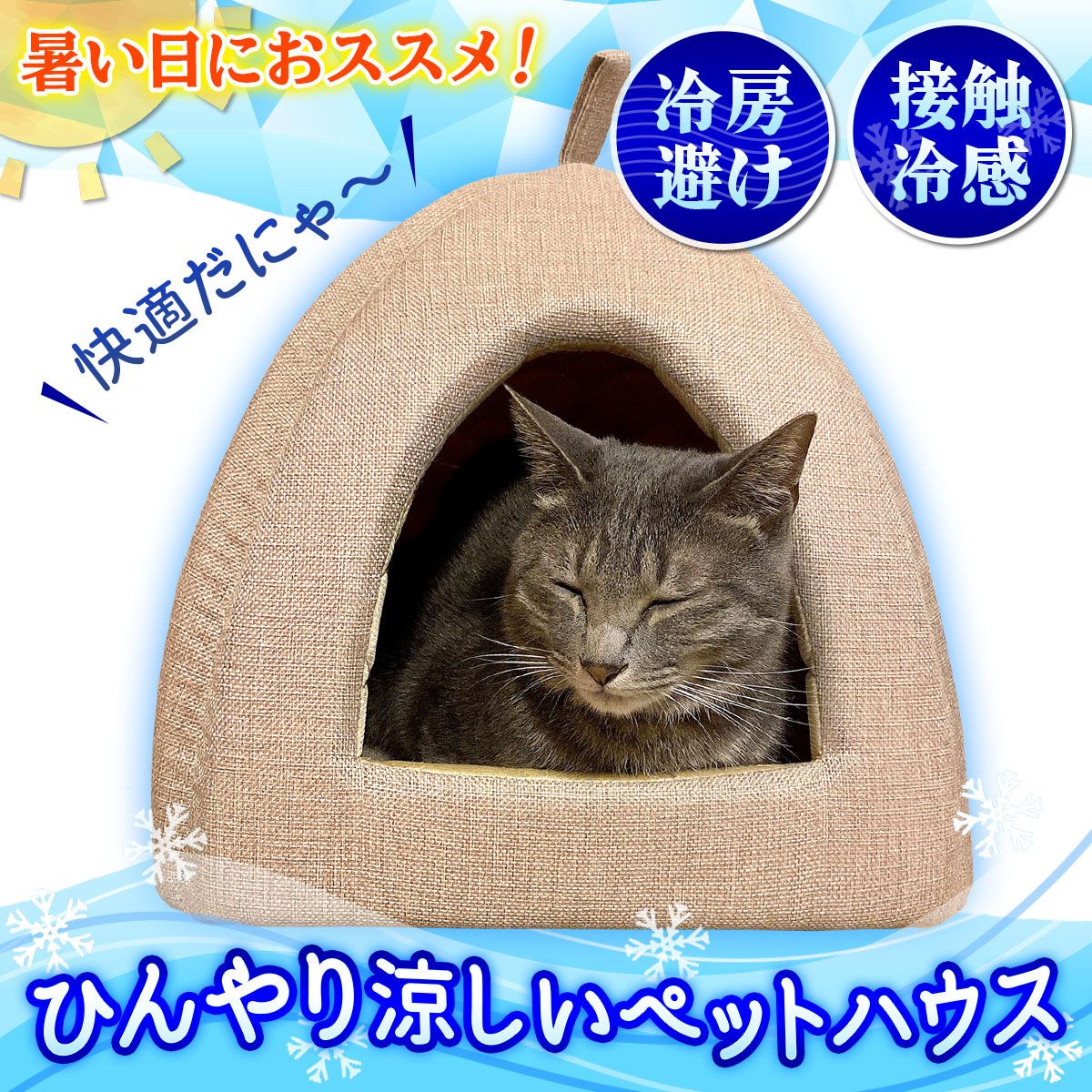 ハウス ねこ