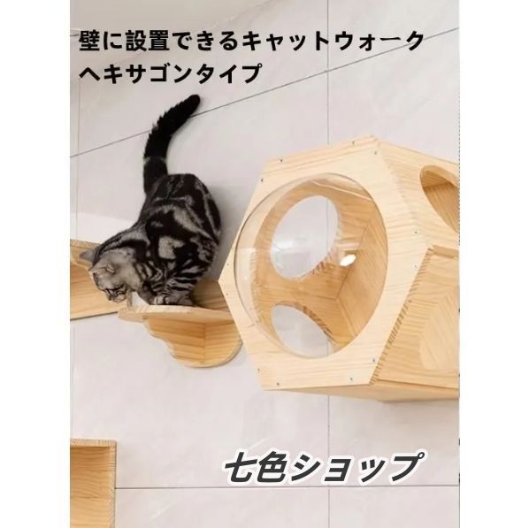 ハンモック＆ハウス付き