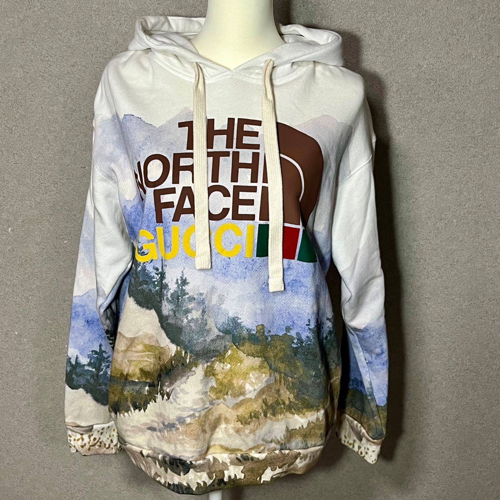 極美品】GUCCI×THE NORTH FACE グッチ×ノースフェイス コラボ 