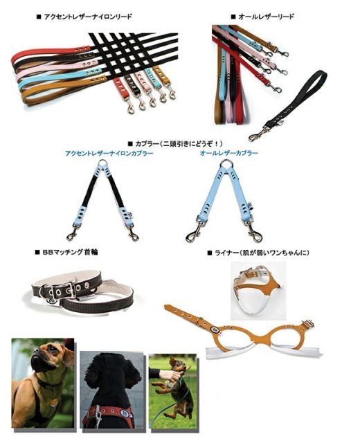 本革