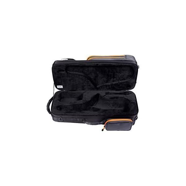 バム Bam アルトサクソフォン用ケース PEAK カラー：ブラック＆グレー