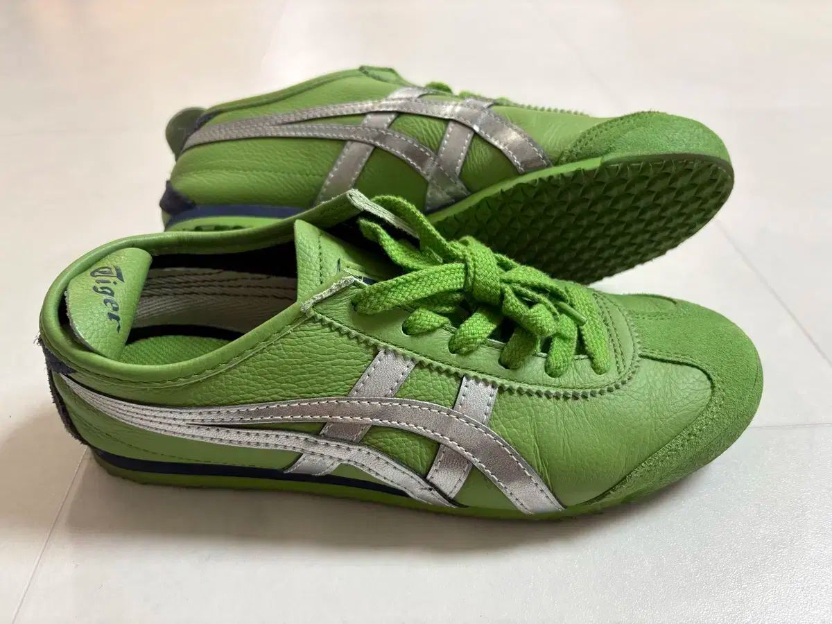 グリーン シルバー