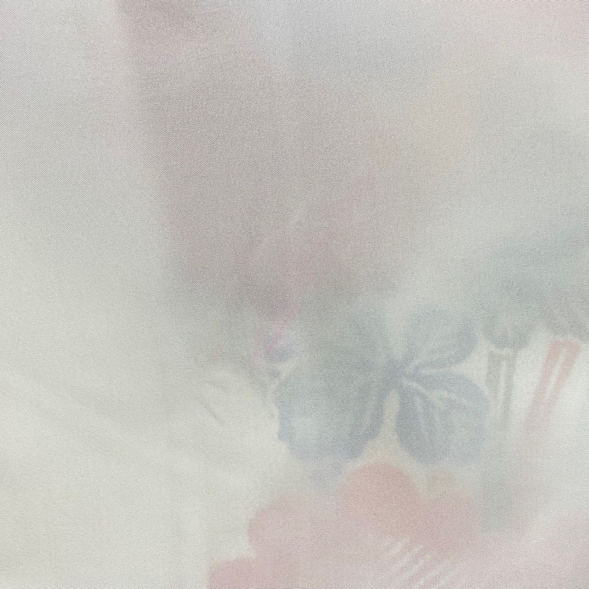 全品送料無料! 振袖 身丈150cm 裄丈62.5cm S 袷 菊 松 縮緬 クリーム 正絹