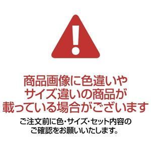 まとめ リヒトラブ SMART FITACTACT ワイドオープンペンケース ネイビー A-7688-11 1個 ×5セット
