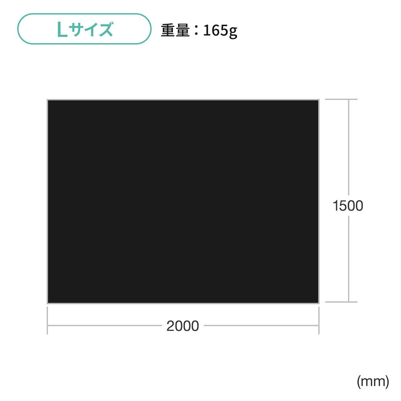 美品共箱付 明治16年◇ガラス板湿板写真『伊藤さんと中川さん』名古屋
