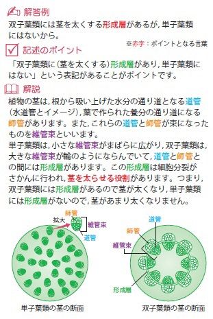 お買い得セット！ 理科・社会の記述問題が楽しくよくわかるカード 第１