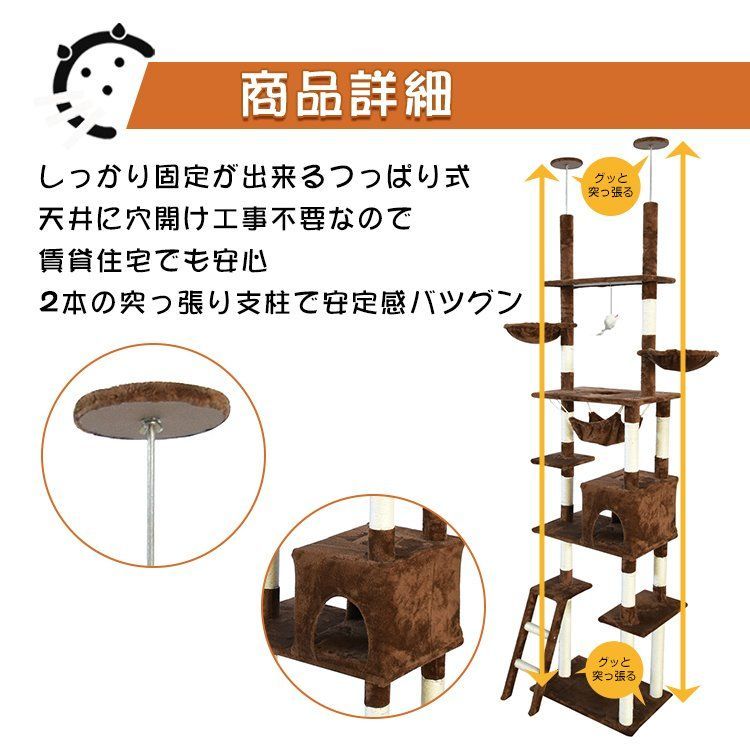 爪磨 爪とぎ