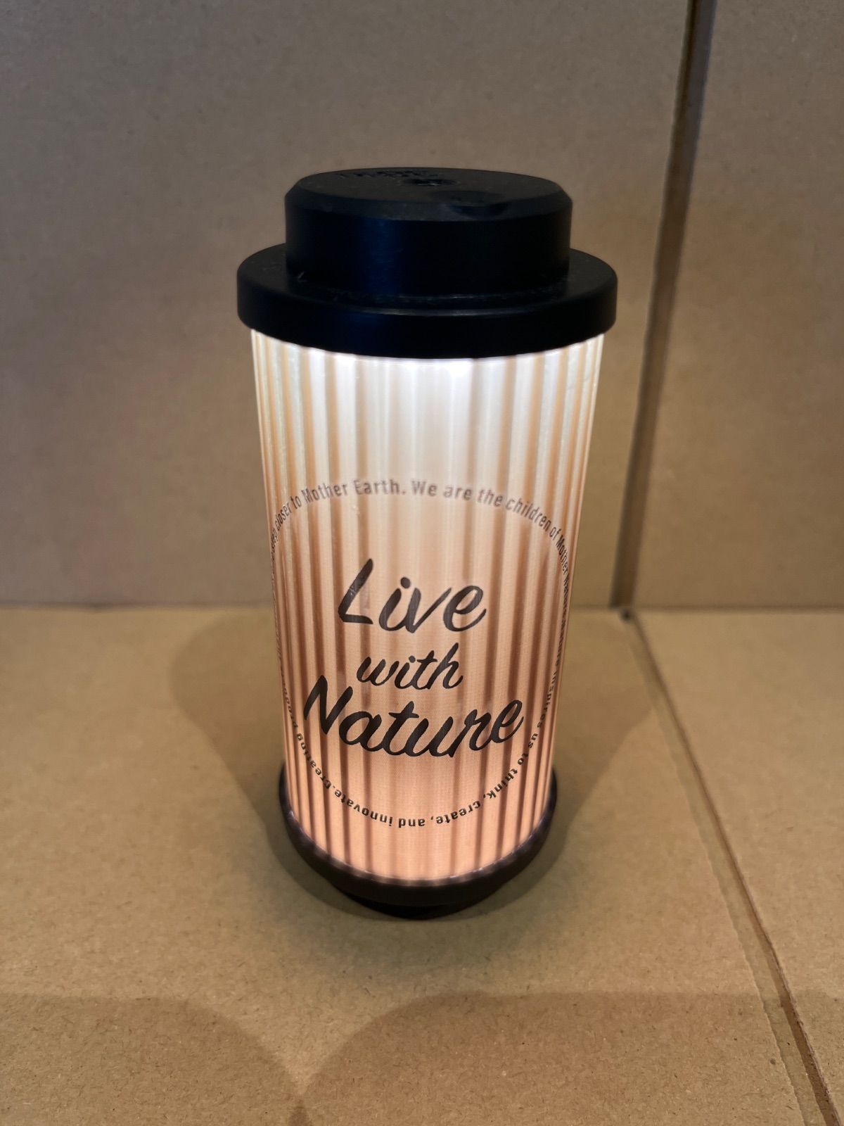 38-kt THE RICH 真鍮製 38explore 38灯 ミヤビ リッチ 38-kT THE RICH