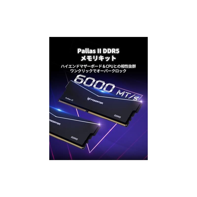 Pallas DDR5