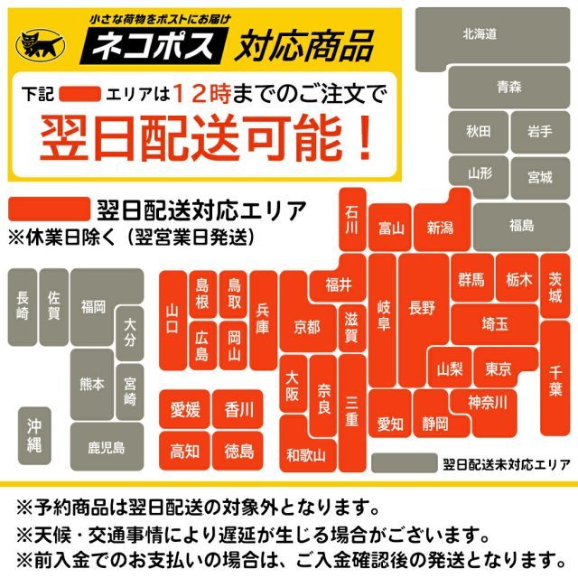  ブルーアンバー 原石 琥珀 こはく ブラックライト付き インドネシア産 スマトラ島 1点もの 天然石 パワーストーン 浄化 癒し ヒーリング amber 贈り物 ギフト プレゼント その他 ラッピング 包装