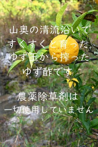 高知県産ゆず酢900ml 6本 クール便込 農薬不使用 - メルカリ