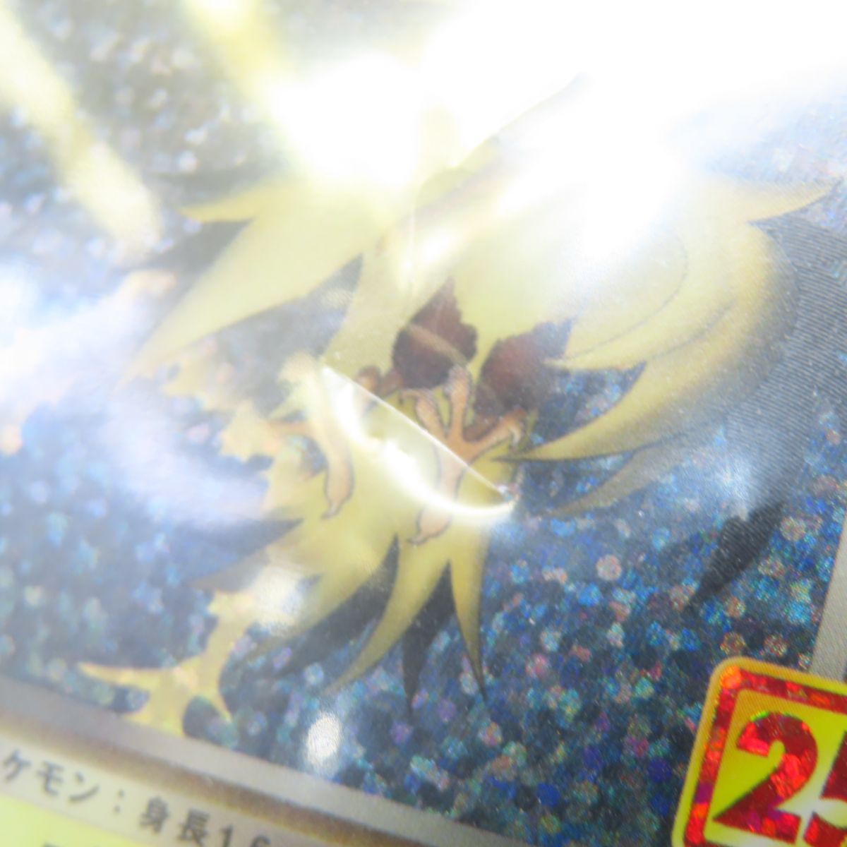 PSA10鑑定済〕R団のサンダー(25th)【P】{008/025}