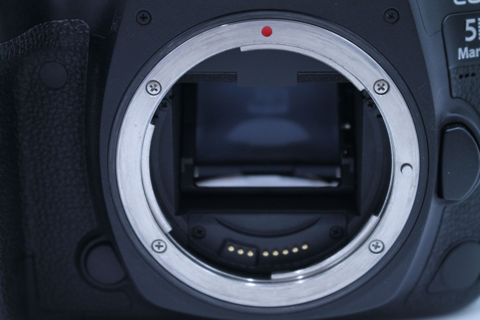 シャッター回数19091回！□極上品□ CANON EOS 5D Mark IV 5D mark4