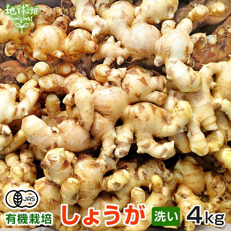 定価の88%OFF 有機ごぼうペースト 離乳食 organic 無農薬 鹿児島県産 ゴボウ 介護食 牛蒡 オーガニック 国産 業務用 オーガニック 有機栽培 宮崎県産 有機JAS