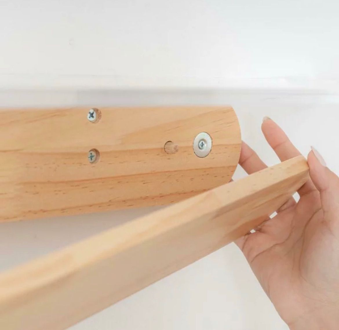 デザイン ペットグッズ