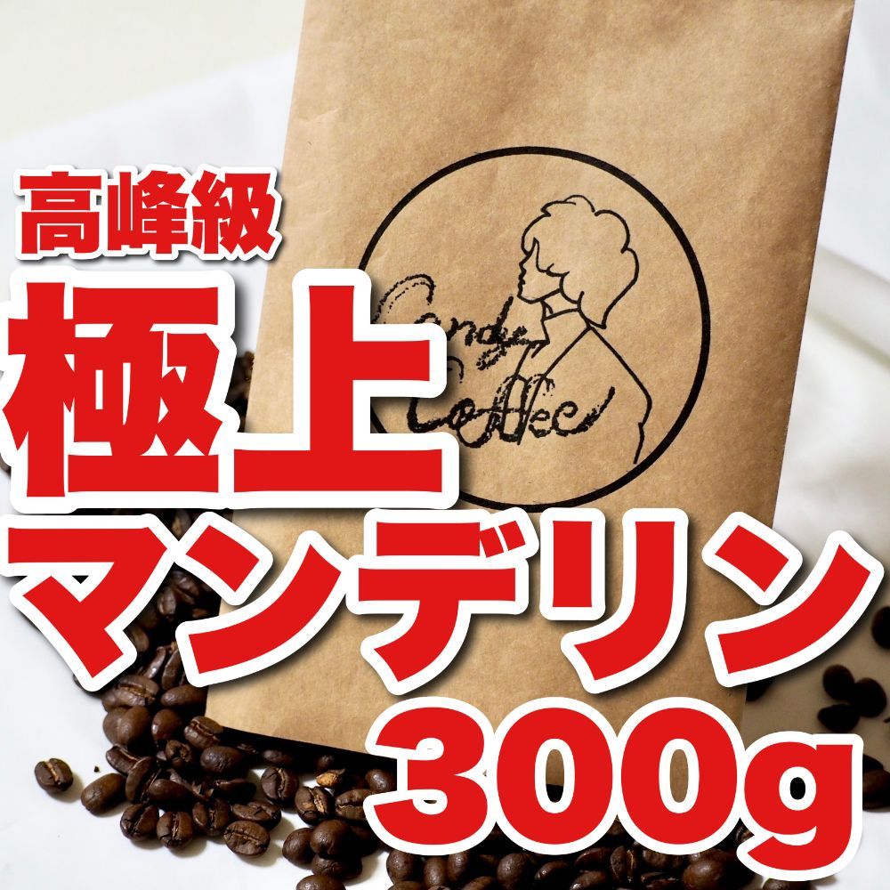 自家焙煎 コーヒー豆 インドネシア マンデリンG1 300g - 酒