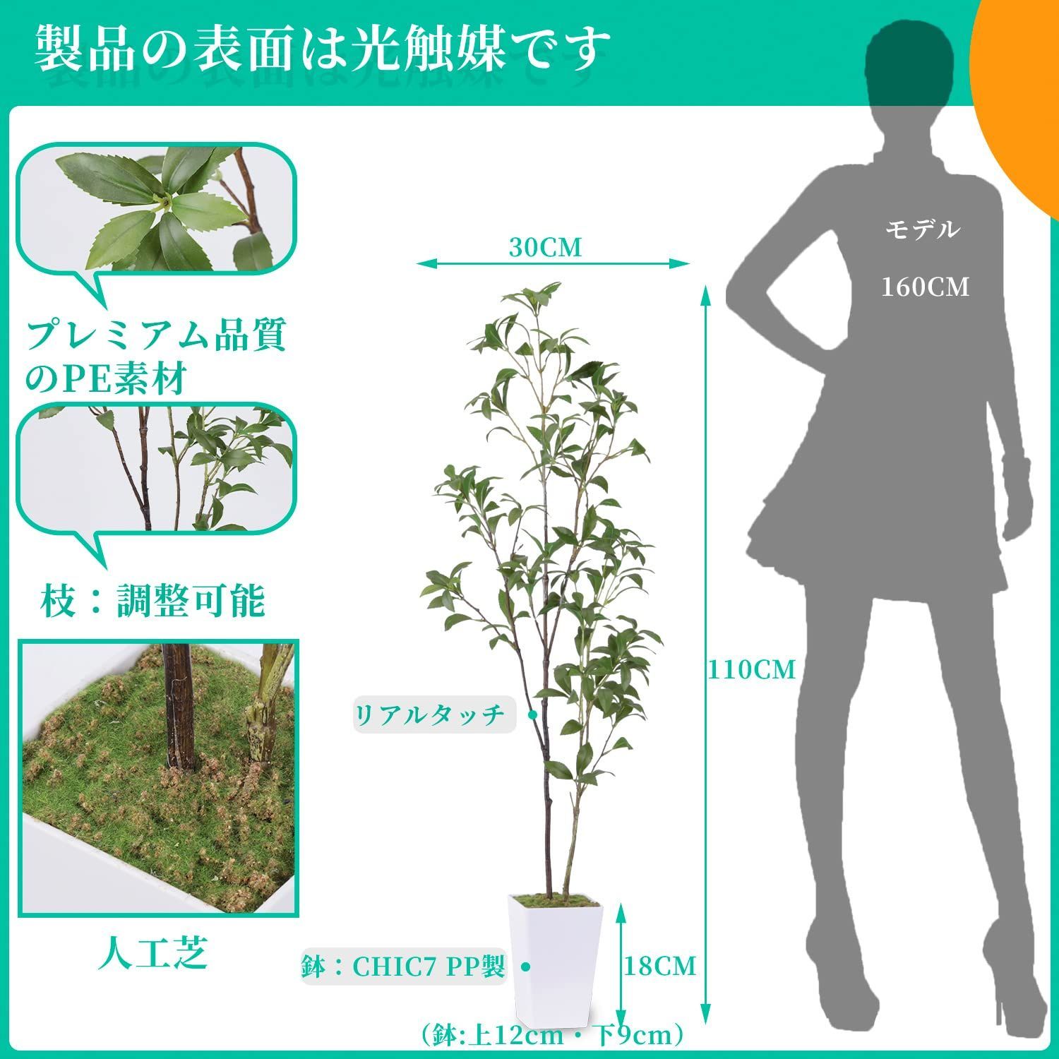 植木 鉢植え