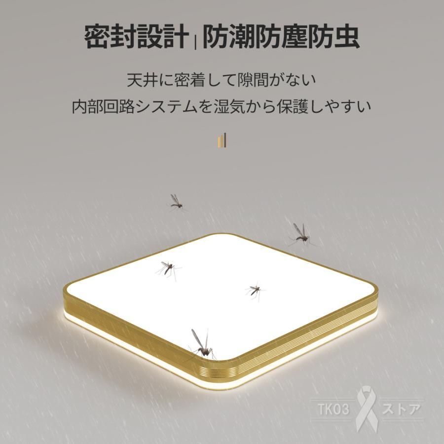 6畳 8畳