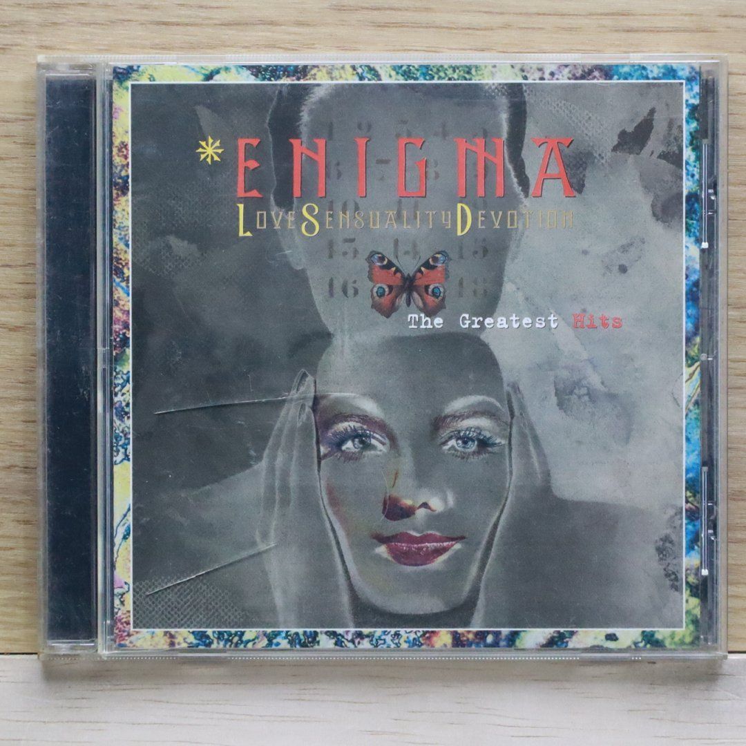 高品質！ヨーロッパアライグマ（ラクーン）頭骨