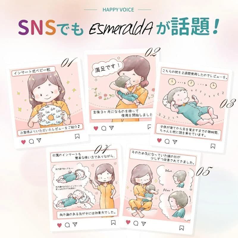 特価セール】ESMERALDA（エスメラルダ） インサート式枕 色柄違いの２