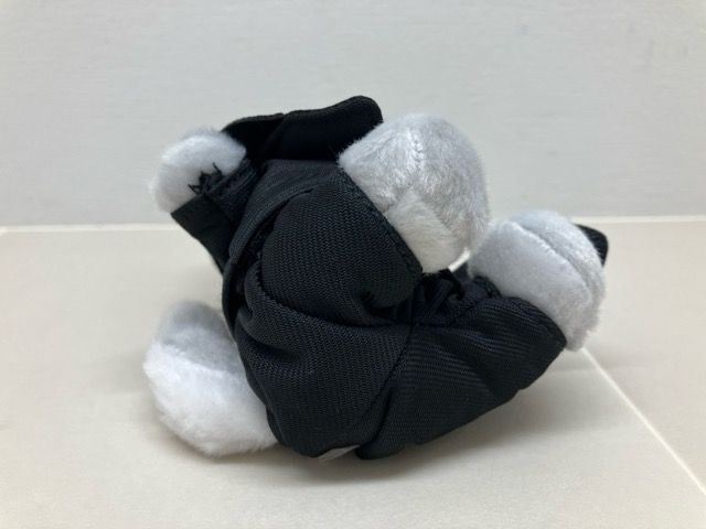 SixTONES 松村北斗 ノッキンオン・ロックドドア 倒理犬