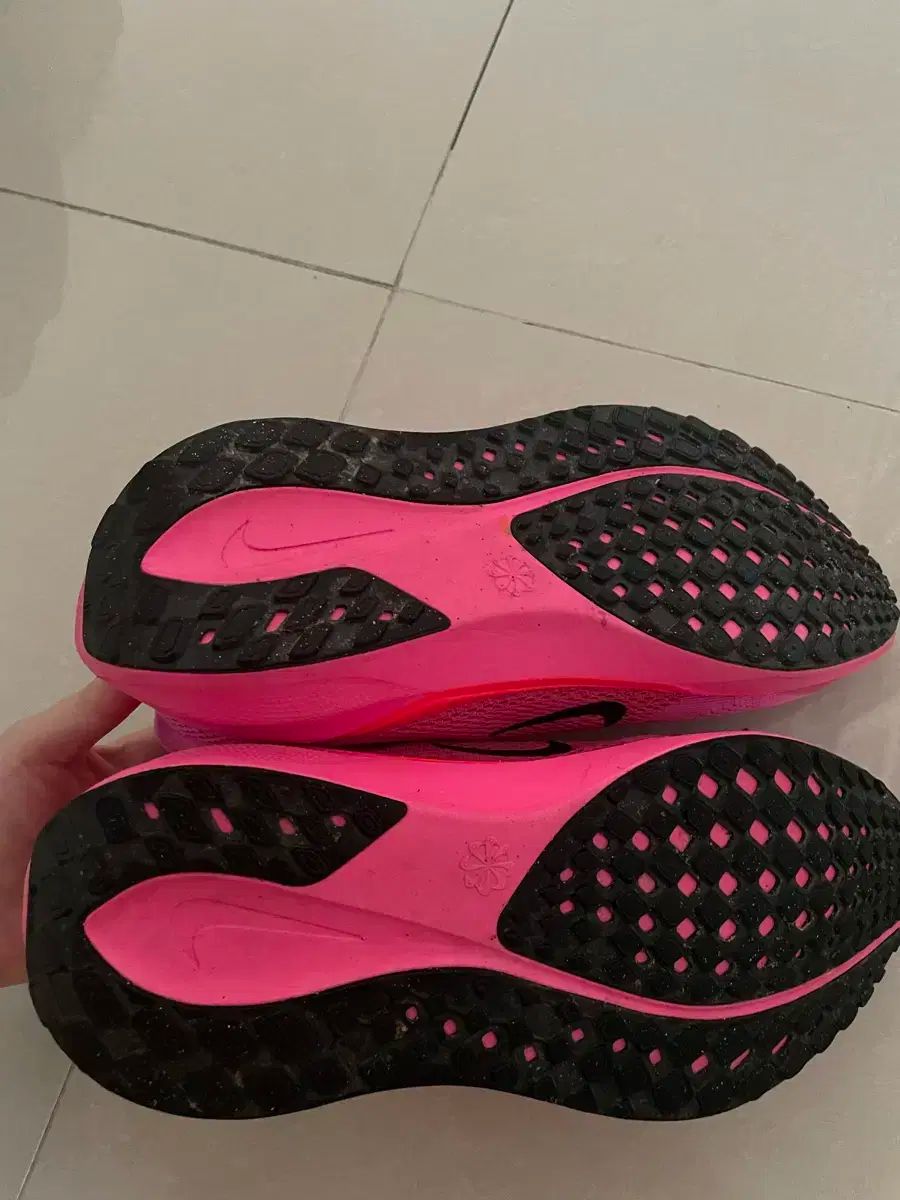 ナイキ ペガサス 41 ピンク レディース ランニングシューズ 245 OLIVEOS_COM_TR