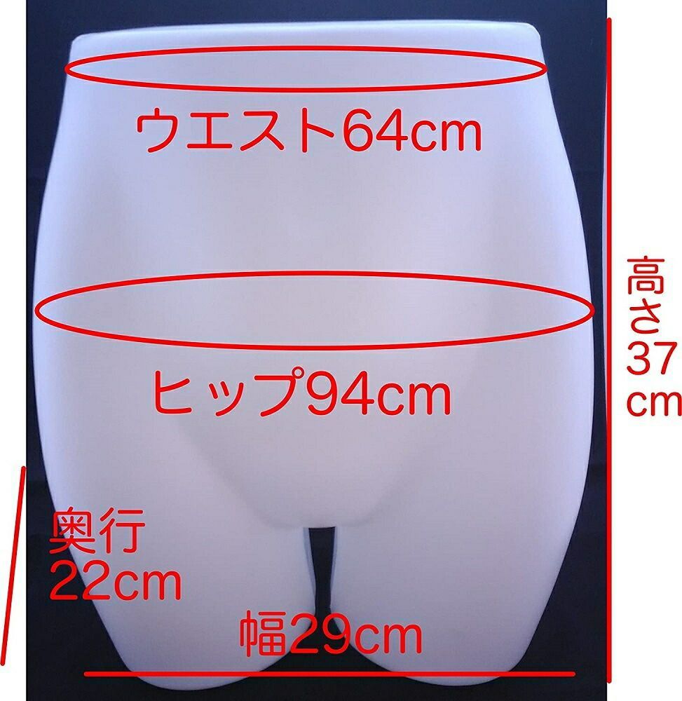 下半身マネキン 下着 マネキン 展示 プラスチック ボディ トルソー